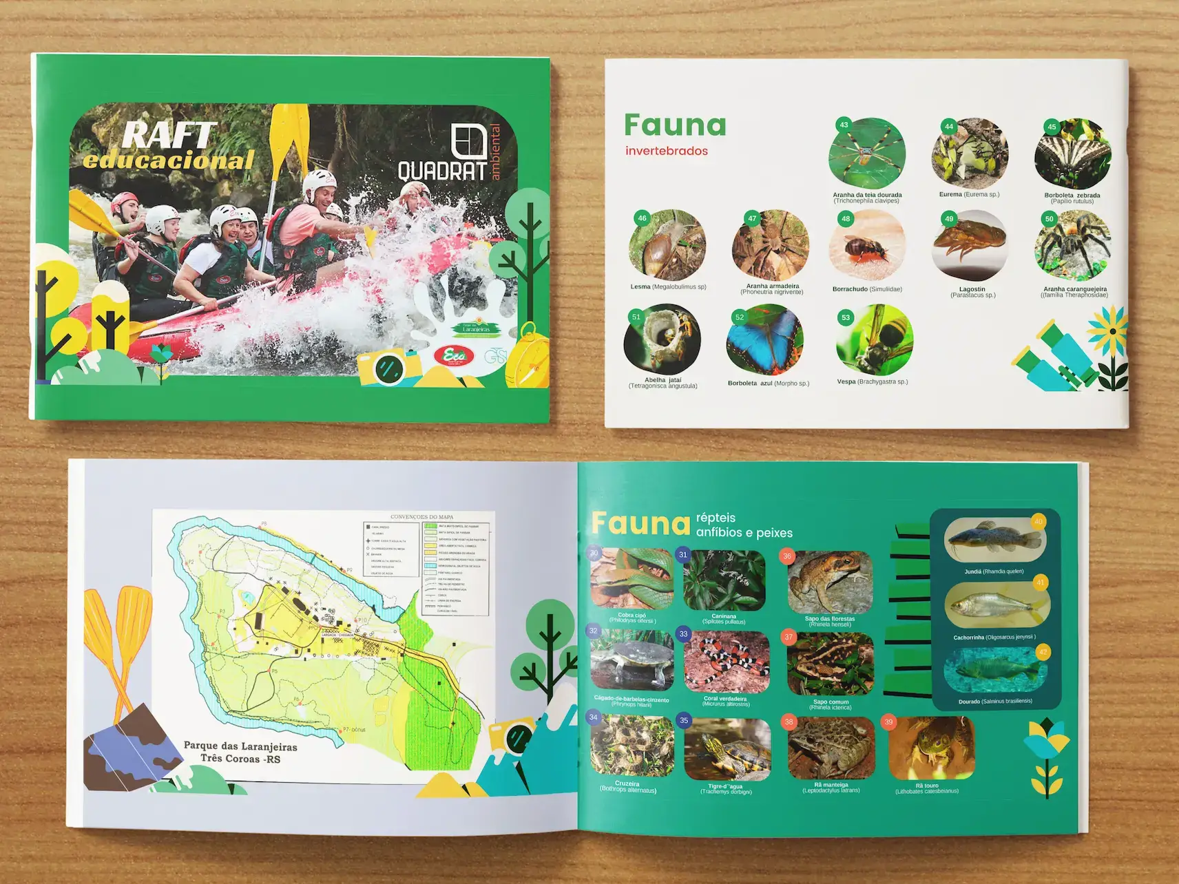 Apresentação de um material educativo sobre rafting e fauna invertebrada, com imagens e informações sobre diferentes espécies no Parque das Laranjeiras.