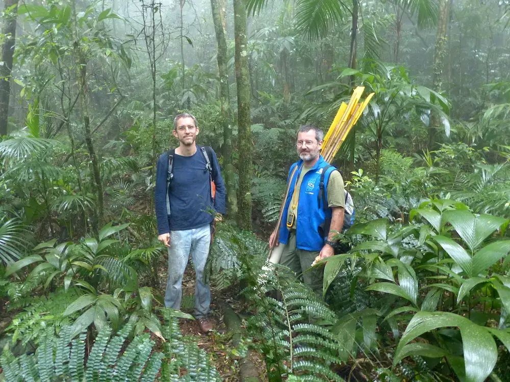 Pesquisadores em meio à vegetação densa da mata, destacando a importância da conservação ambiental em áreas florestais.
