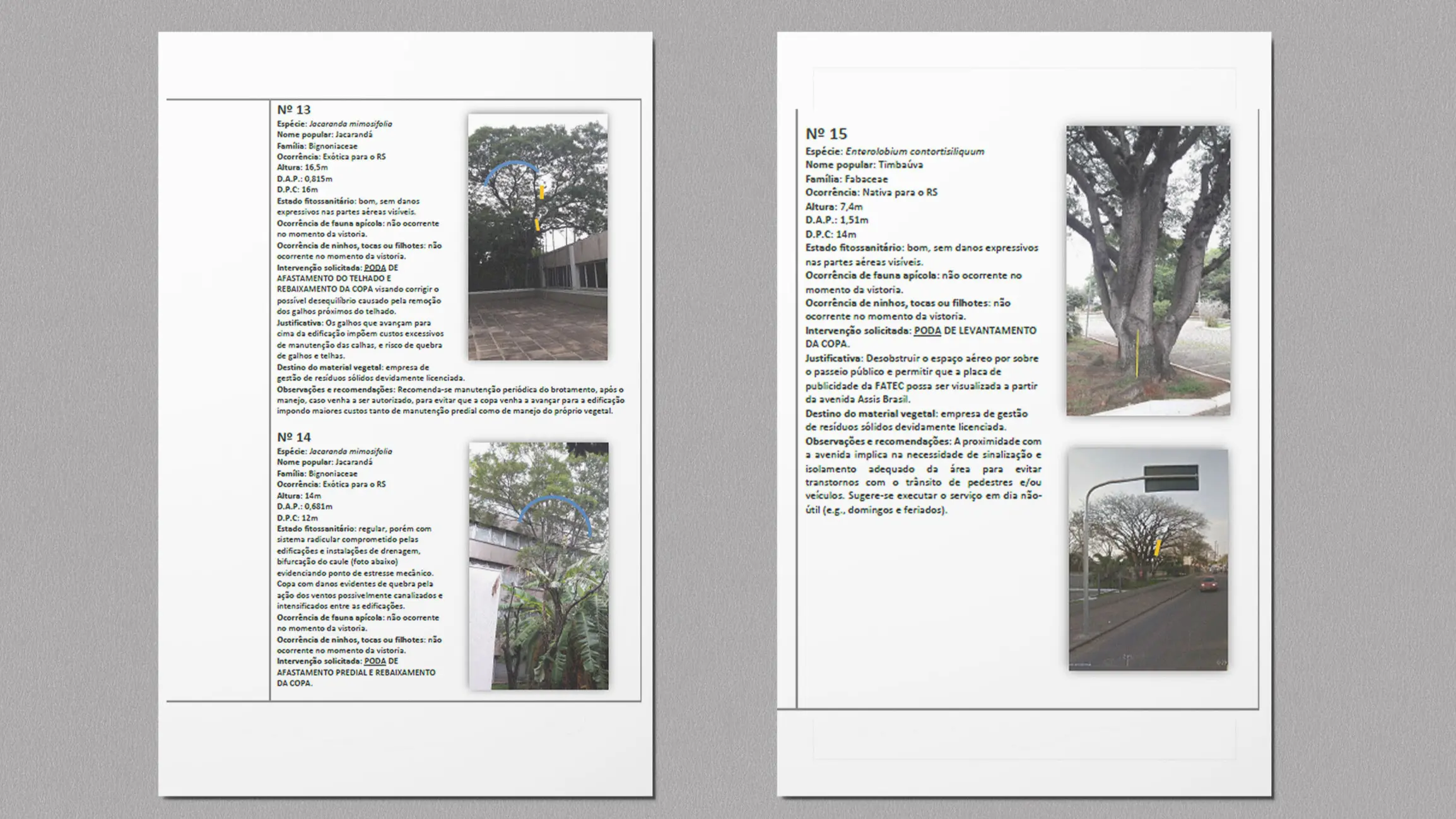 Descrição de documentos sobre vegetação e sinalização, incluindo informações sobre árvores e localizações urbanas, apresentando imagens e detalhes técnicos.