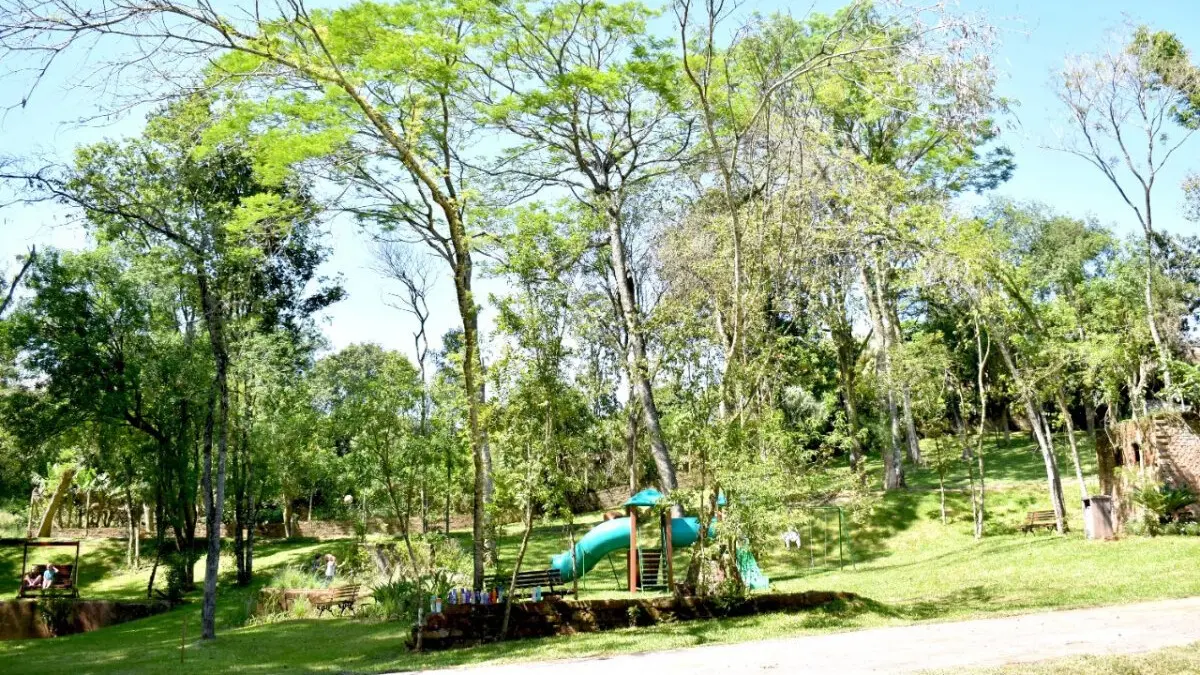 Visão de um parque com grandes árvores verdes, um escorregador azul e um gramado bem cuidado, ideal para recreação ao ar livre.