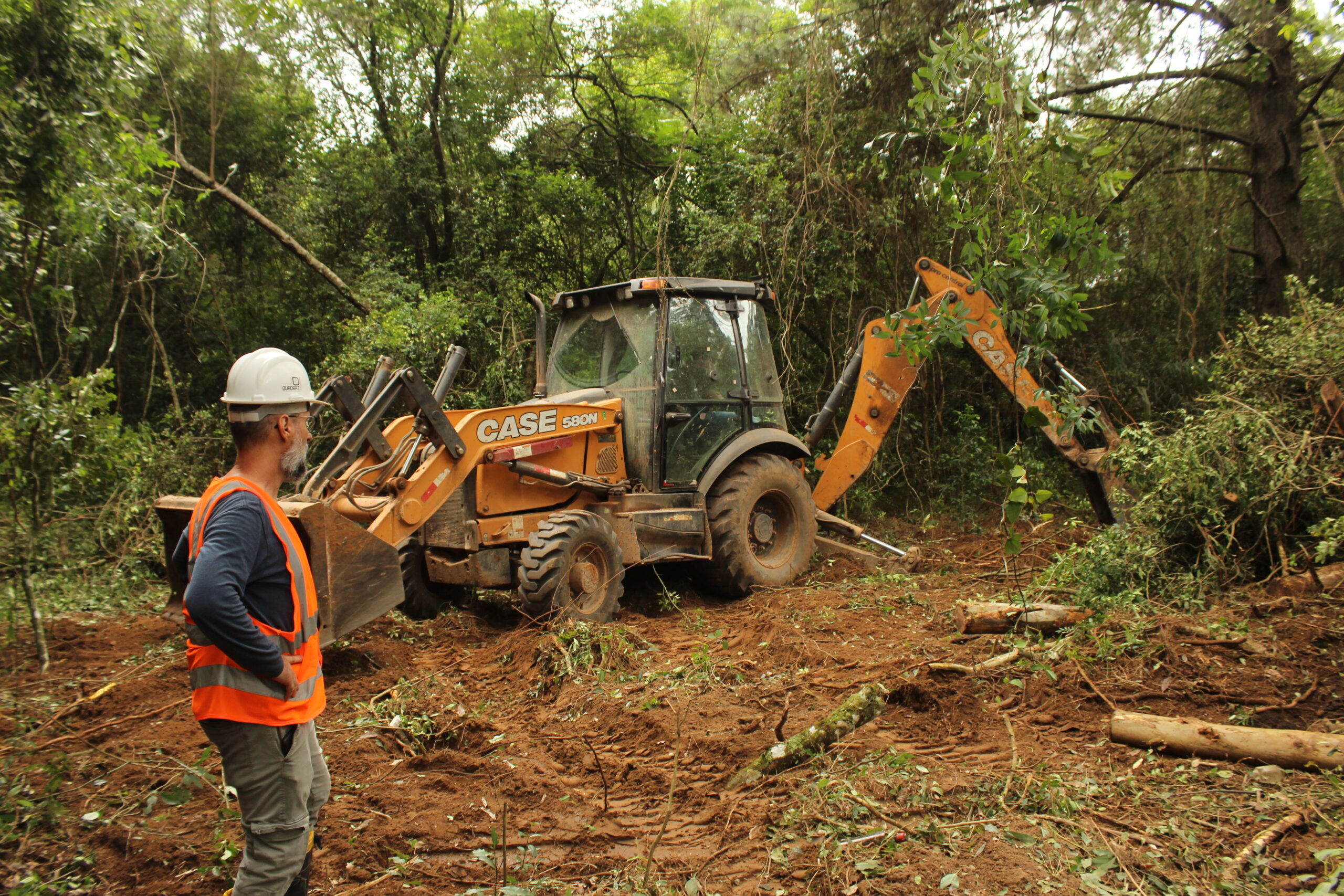 Acompanhamento de supressão vegetal