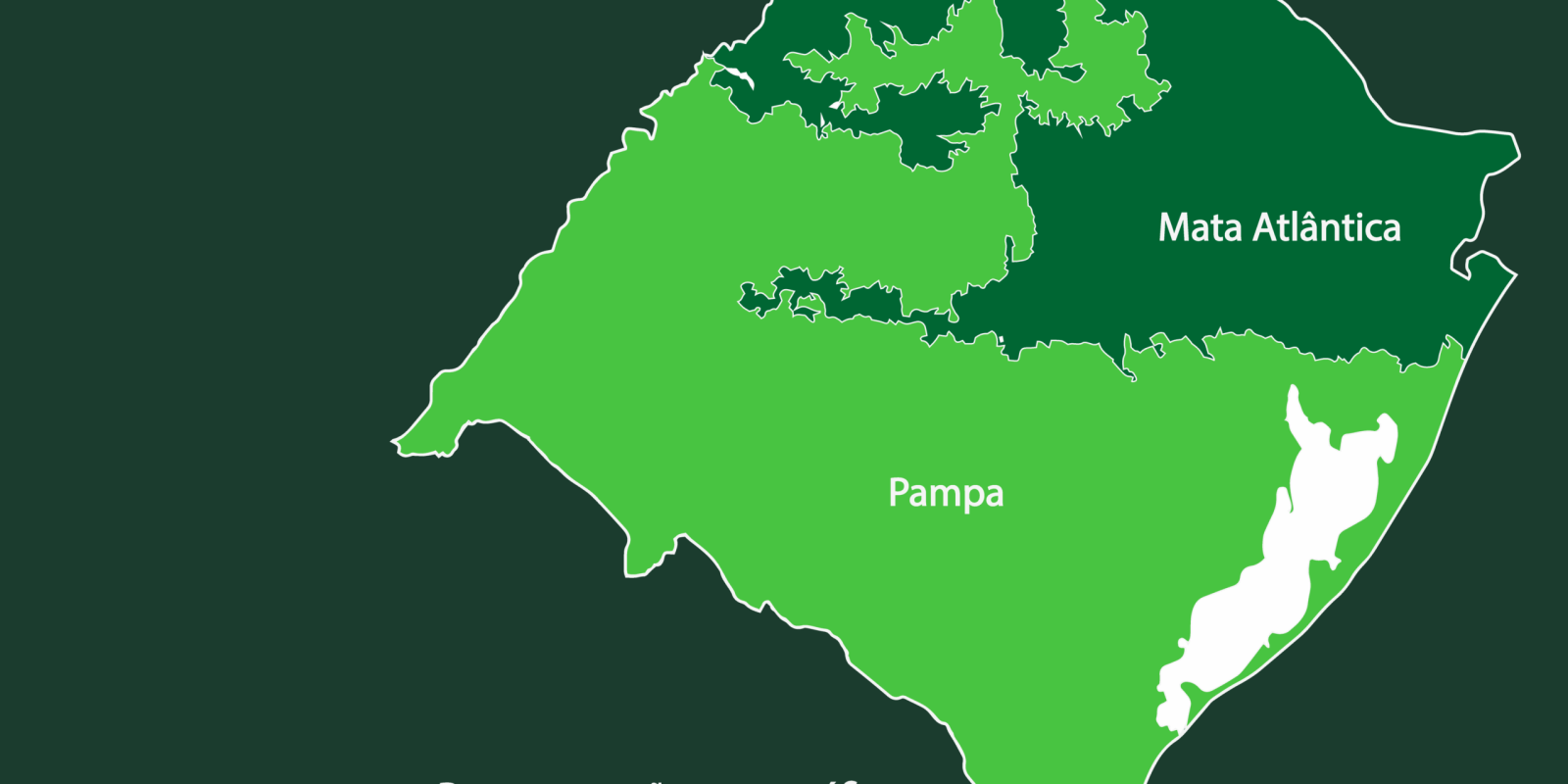 Mapa dos Biomas do Rio Grande do Sul