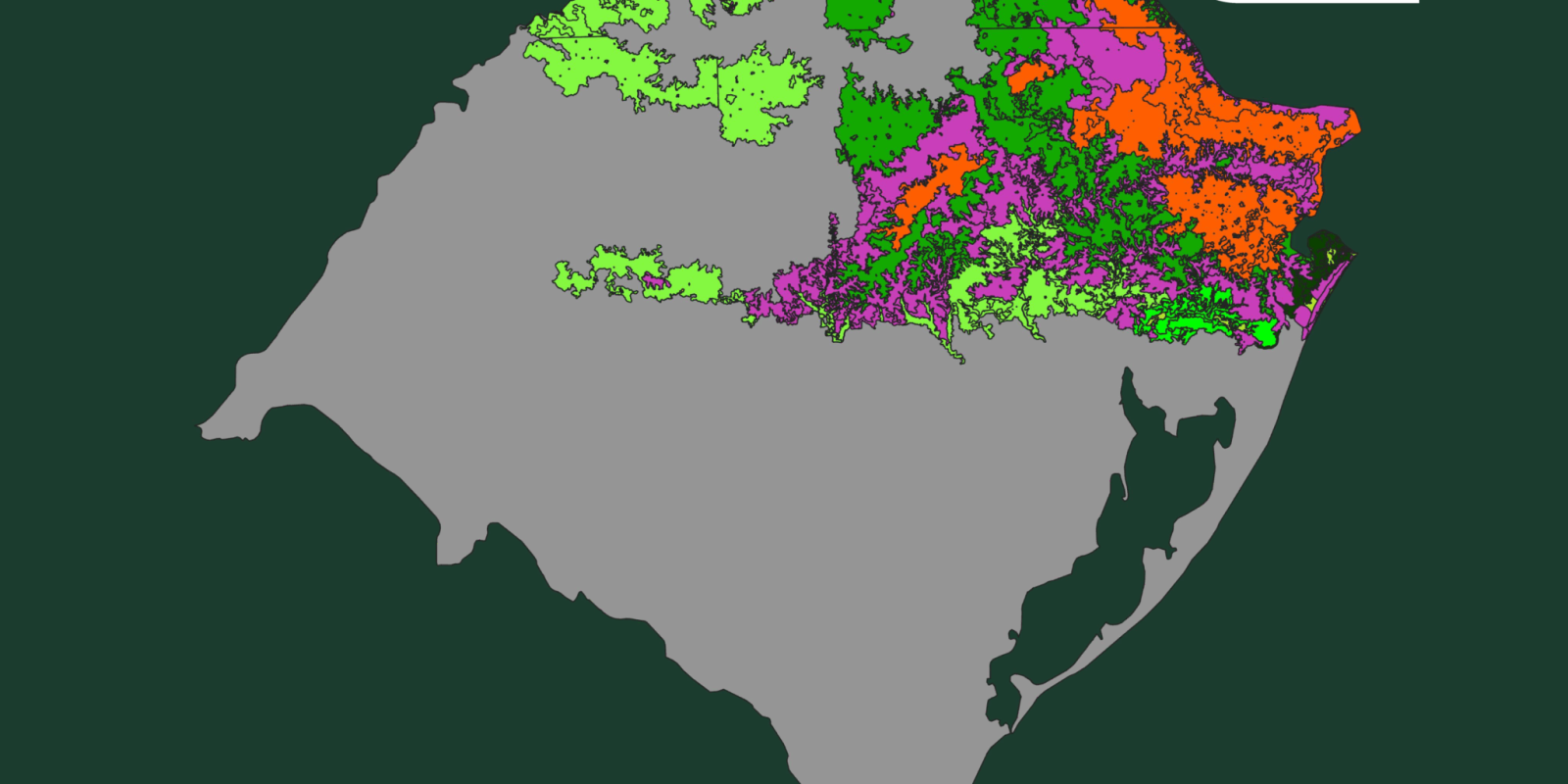 CONHEÇA AS FORMAÇÕES VEGETAIS DA MATA ATLÂNTICA