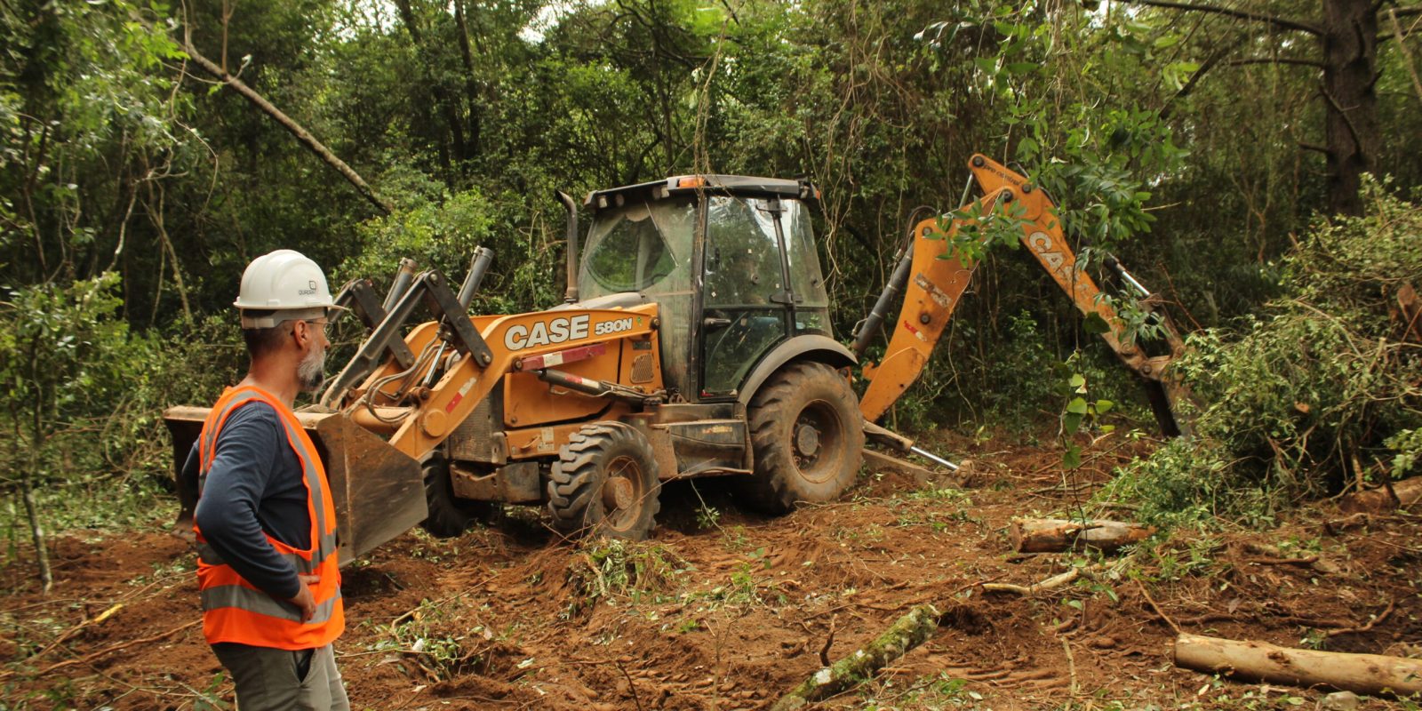 Acompanhamento de supressão vegetal