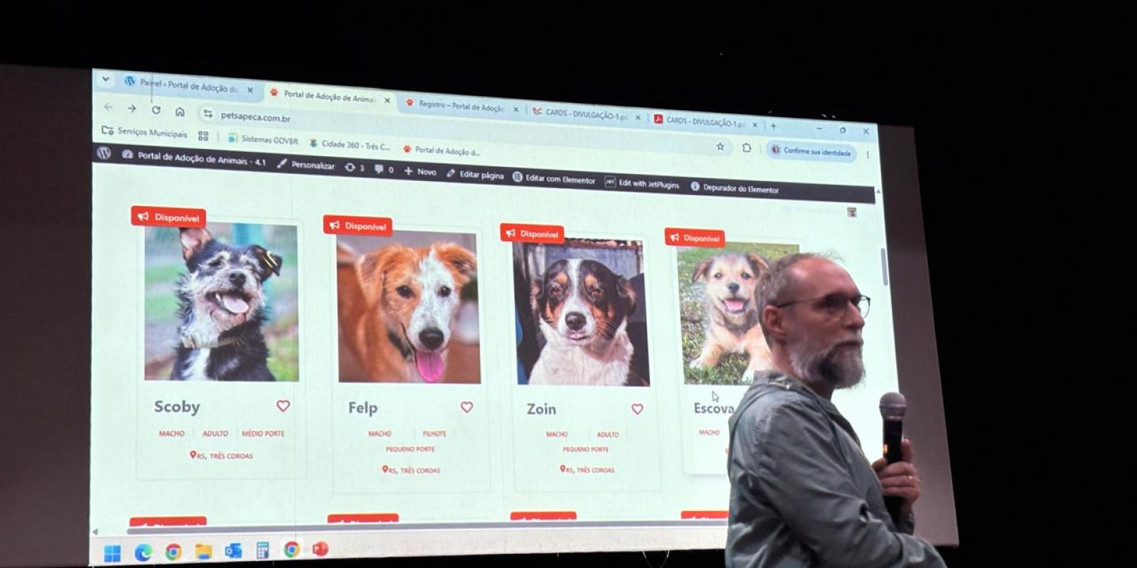 PETSAPECA: A NOVA PLATAFORMA DE ADOÇÃO DE PETS DE TRÊS COROAS!