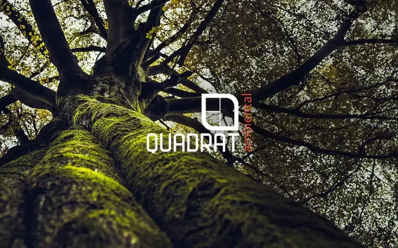 O SIGNIFICADO DO NOME “QUADRAT”