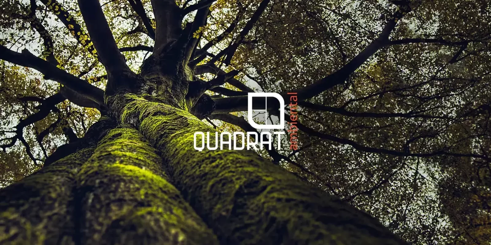 O SIGNIFICADO DO NOME “QUADRAT”