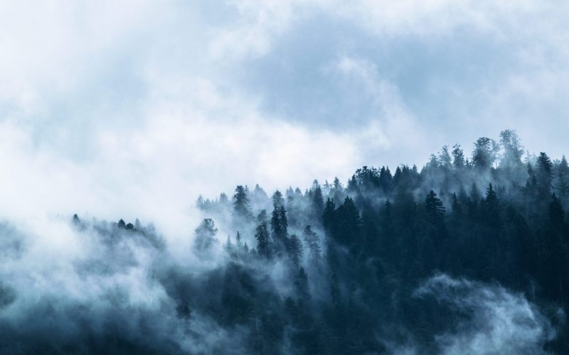 A BIOGEOGRAFIA DO ESTADO DO RIO GRANDE DO SUL