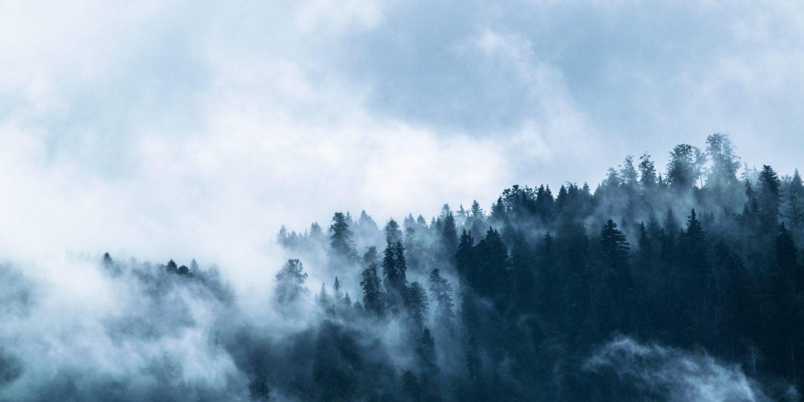 A BIOGEOGRAFIA DO ESTADO DO RIO GRANDE DO SUL
