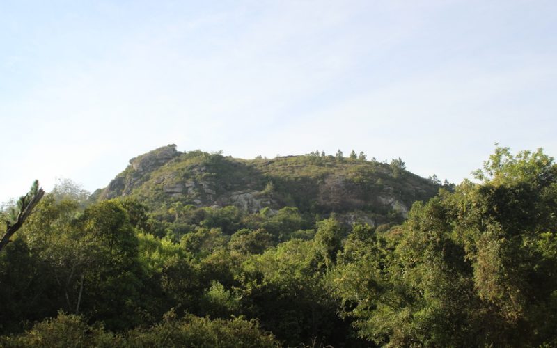 Imagem de uma montanha coberta por vegetação vibrante, refletindo a beleza natural e tranquilidade da paisagem.