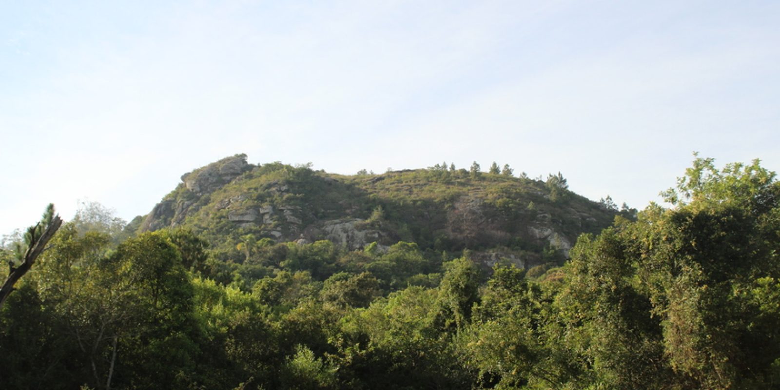 Imagem de uma montanha coberta por vegetação vibrante, refletindo a beleza natural e tranquilidade da paisagem.