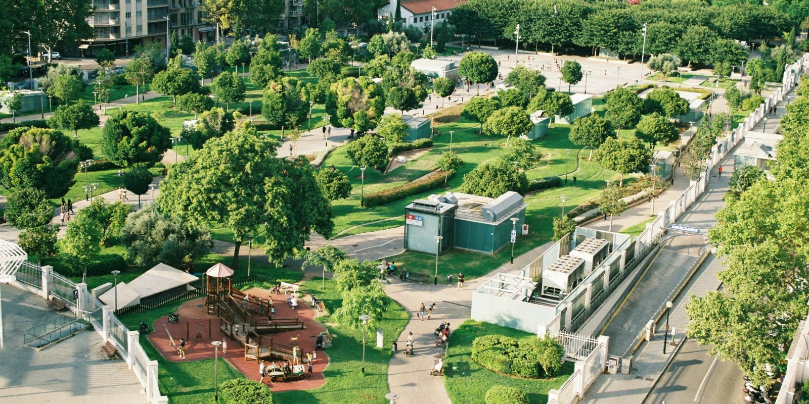 COMO AS ÁRVORES TRANSFORMAM A CIDADE